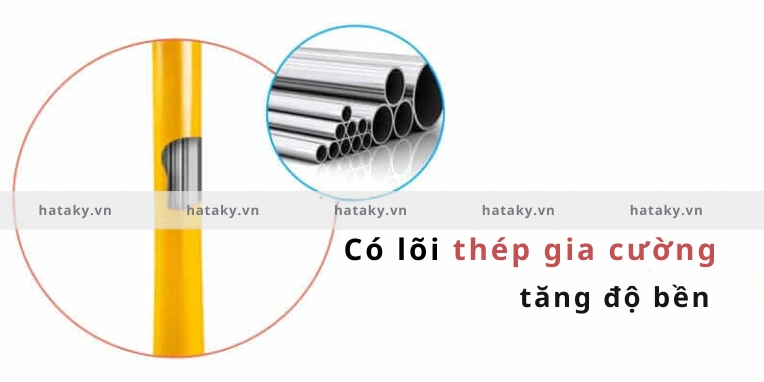 Cây nấm phun nước 4 Đặc điểm nổi bật của cây nấm phun nước