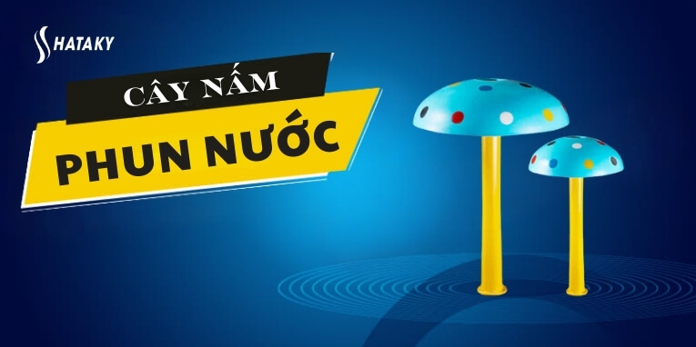 Giới thiệu về cây nấm phun nước