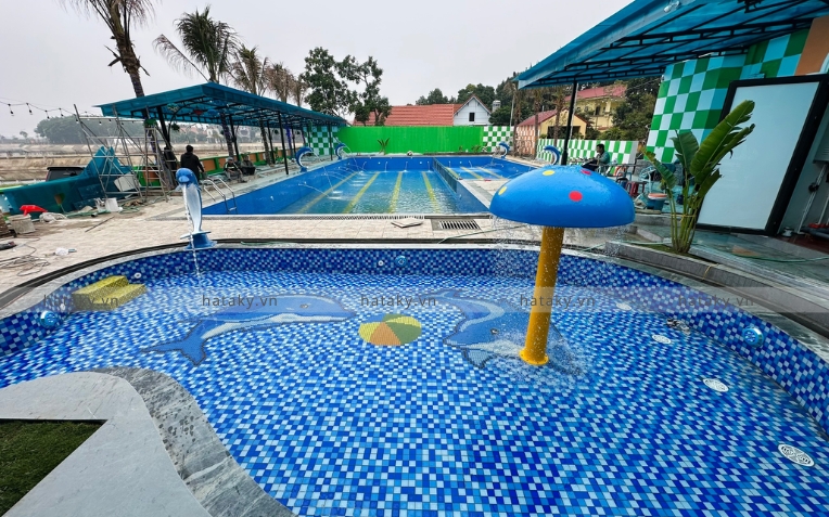 Cây nấm phun nước 5 Ứng dụng của cây nấm phun nước
