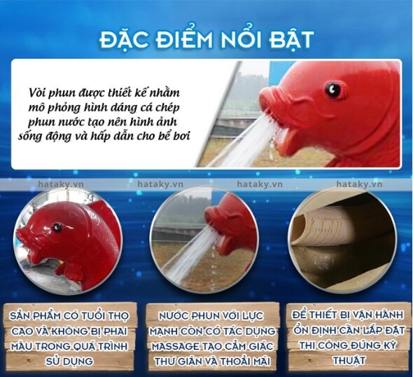 Cá chép phun nước TB-03 4 Đặc điểm nổi bật của cá chép phun nước TB-03