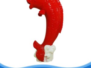 Hình ảnh cá chép phun nước TB-03