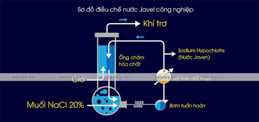 Nước Javen 3 Đặc điểm của nước Javen