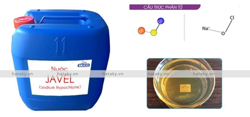 Nước Javen 2 Thông tin về nước Javen