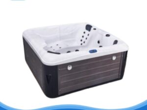 Bồn sục Vigor JY-8020