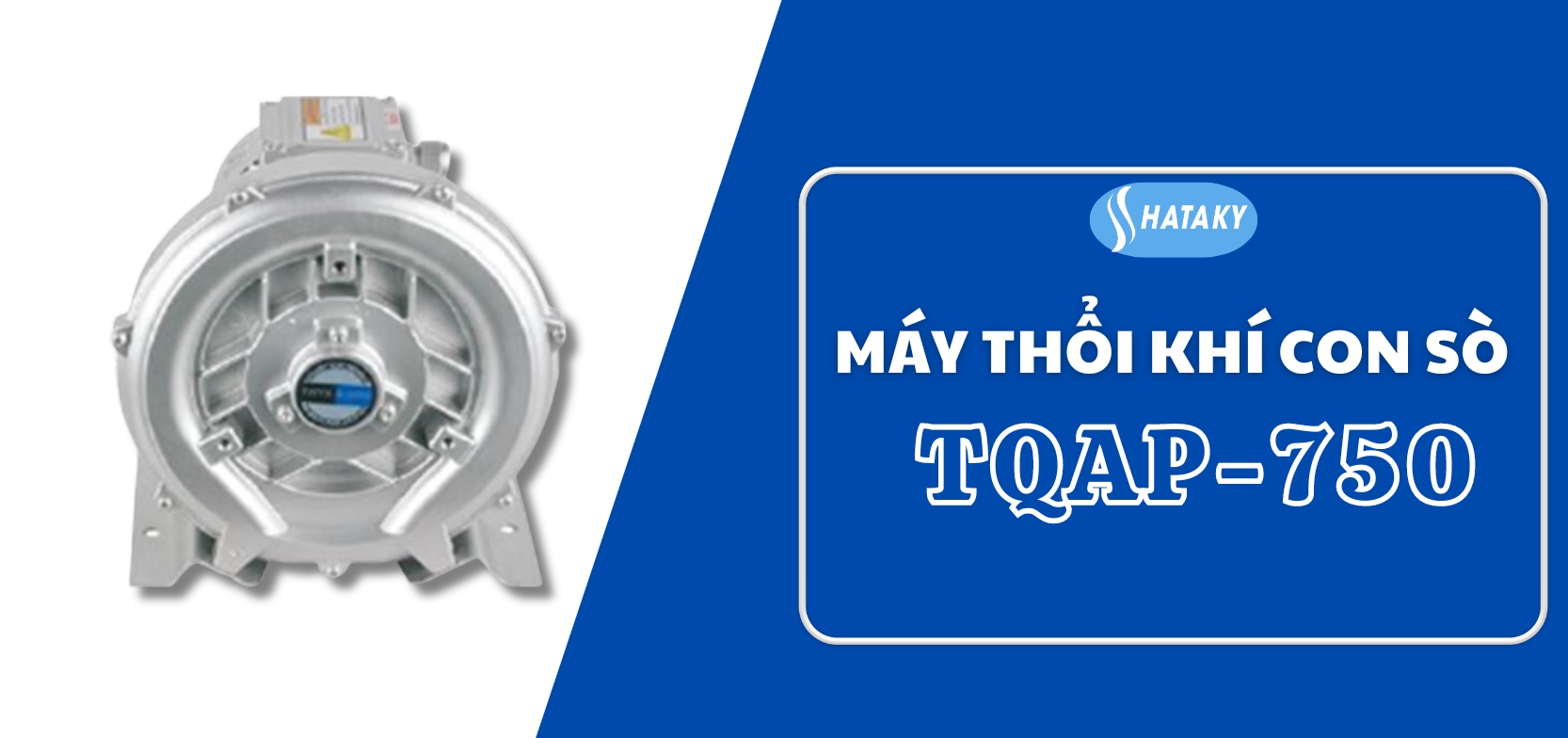 Máy thổi khí con sò TQAP-750 1 Giới thiệu về máy thổi khí con sò TQAP-750