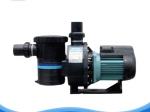 Máy bơm Emaux 1.5HP