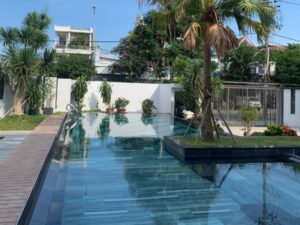 Thiết kế bể bơi