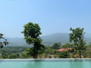 Thiết kế bể bơi mẫu 2