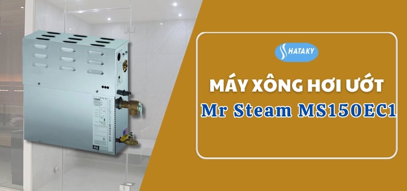 Máy xông hơi ướt Mr Steam MS150EC1 1 Giới thiệu về máy xông hơi ướt Mr Steam MS150EC1
