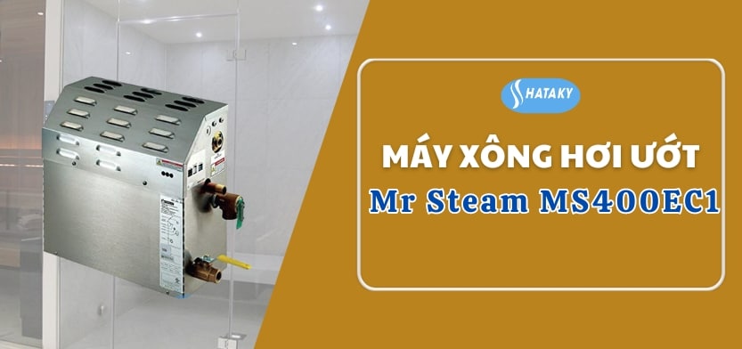 Giới thiệu về máy xông hơi ướt Mr Steam MS400EC1