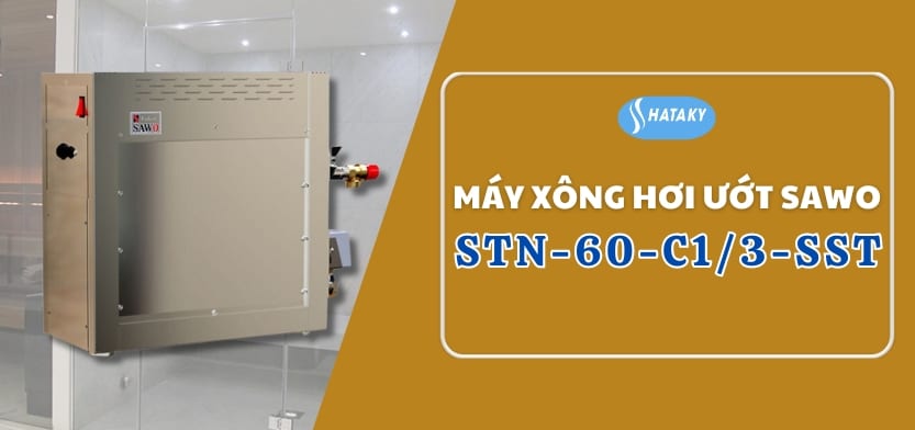 Máy xông hơi ướt Sawo STN-60-C1/3-SST 1 Giới thiệu về máy xông hơi ướt Sawo STN-60-C1/3-SST