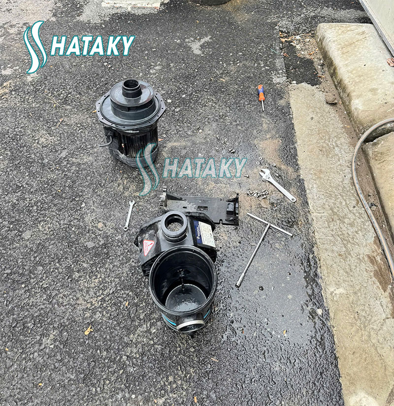 Bí Quyết Bảo Dưỡng Máy Bơm Bể Bơi Để Tăng Tuổi Thọ Gấp Đôi 4 Thay thế các phụ tùng máy bơm để đảm bảo máy hoạt động tốt